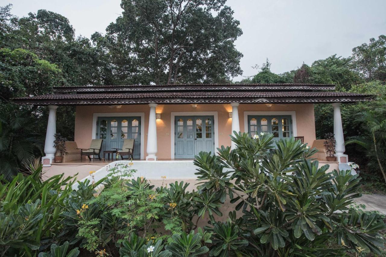 Wildflower Villas - All Villa Hotel, Family Run Candolim Ngoại thất bức ảnh