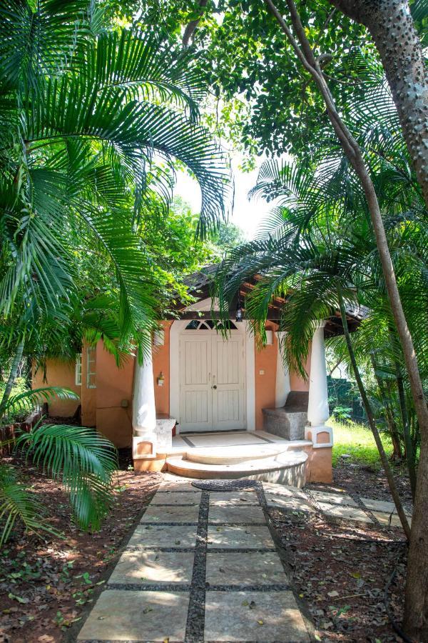 Wildflower Villas - All Villa Hotel, Family Run Candolim Ngoại thất bức ảnh