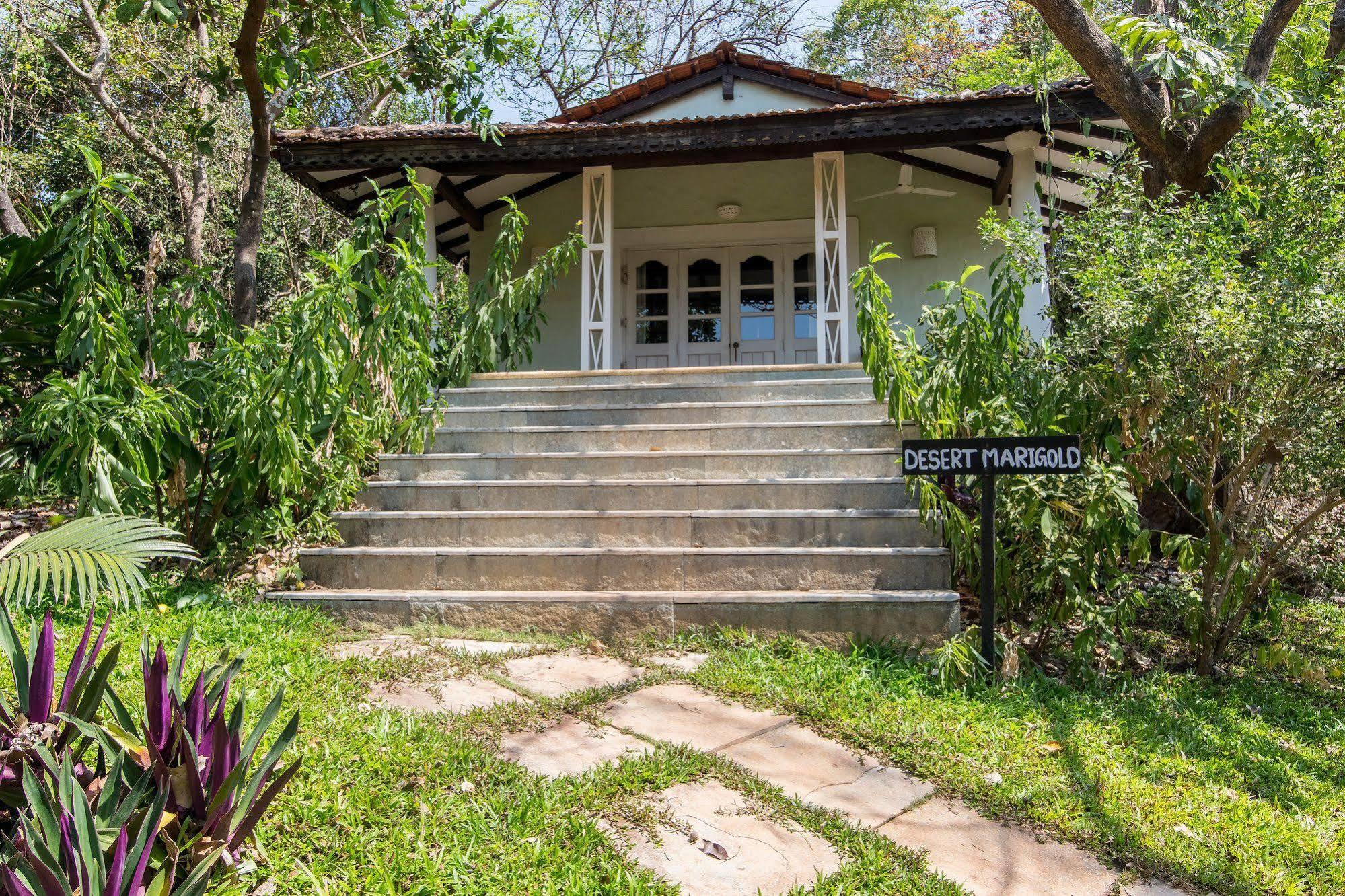Wildflower Villas - All Villa Hotel, Family Run Candolim Ngoại thất bức ảnh